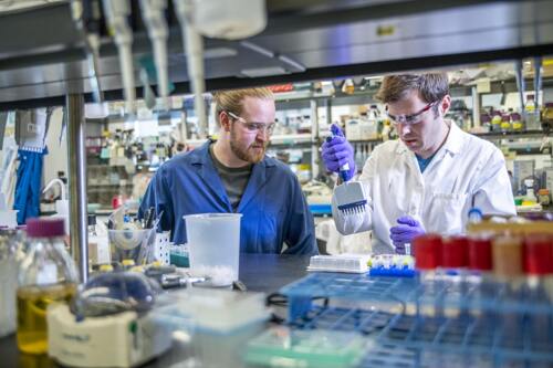 Ezt tudja a Semmelweis Egyetem új PCR-tesztje