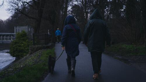 Kiderült, hány kutyasétáltató szegte meg eddig az 500 méteres korlátozást