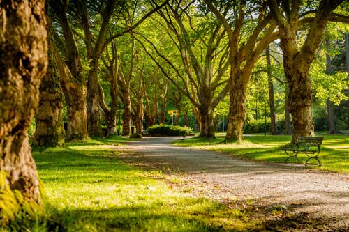 Mit lehet, kell és tilos tennünk, ha végre kiszabadulunk a karanténból?